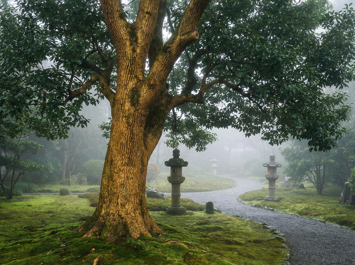 呦呦视频楠木视频